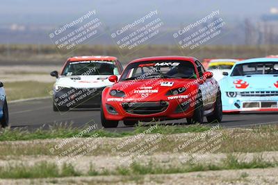 media/Mar-16-2025-CalClub SCCA (Sun) [[e72803ec8c]]/Group 2/Race (Turn 9)/